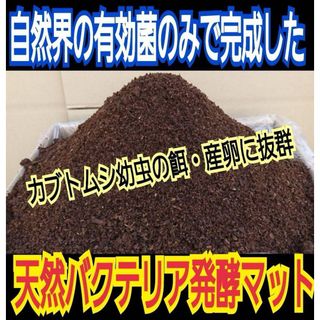 国産カブトムシ幼虫にお薦め!オオヒラタケ菌床粉砕発酵マット 国産カブトムシ幼虫にお薦め!オオヒラタケ菌床粉砕発酵マット