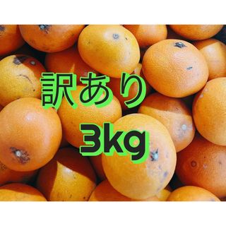 訳あり3kg 愛媛県産愛果28号（紅まどんな）(フルーツ)