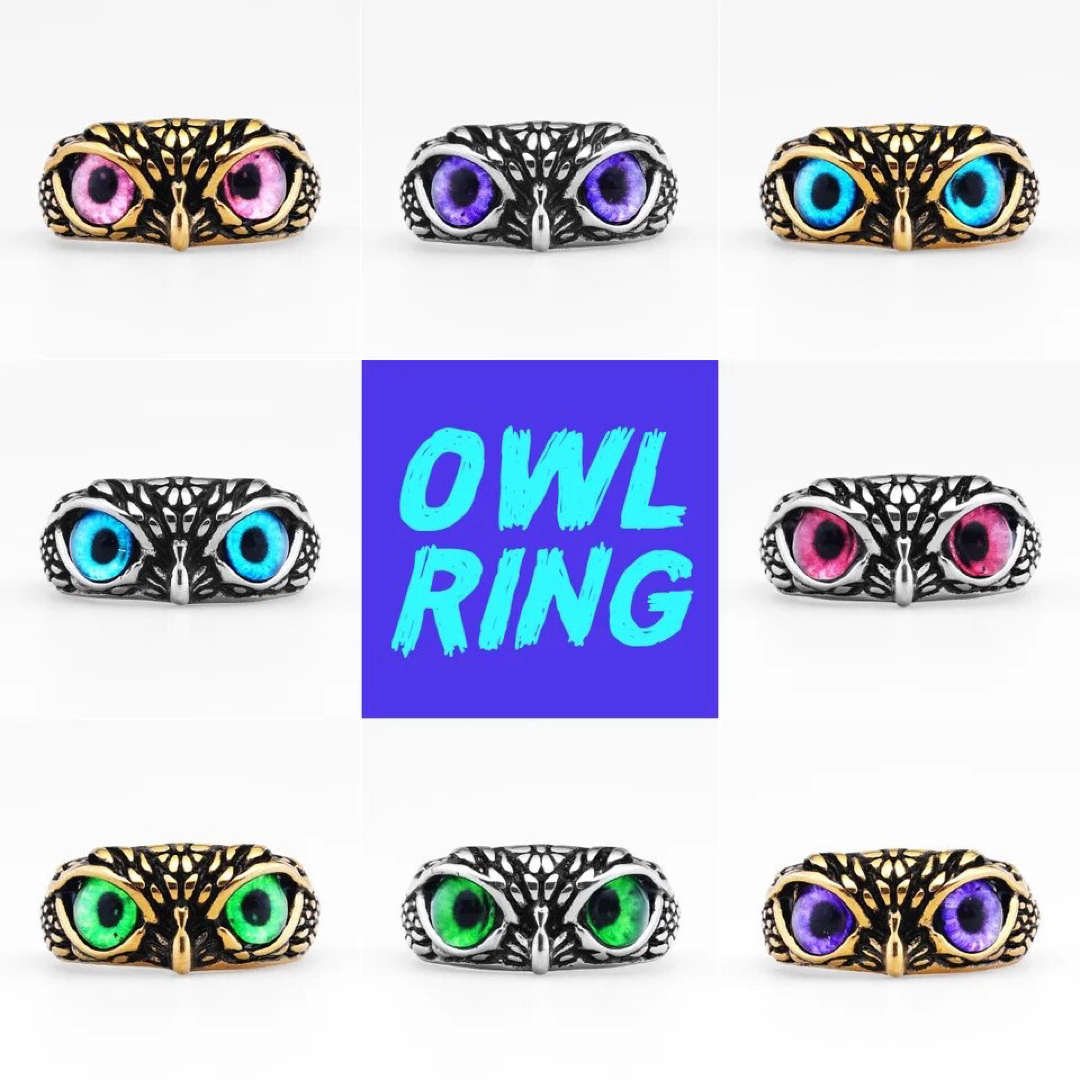 【コメント専用ページ】フクロウ　ユニセックス　指輪　リング　Owl ring レディースのアクセサリー(リング(指輪))の商品写真