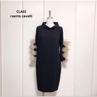 ロベルトカヴァリ(Roberto Cavalli)のCLASS  クラス　ロベルトカバリ　リアルファー　ワンピース　エレガンス　38(ひざ丈ワンピース)