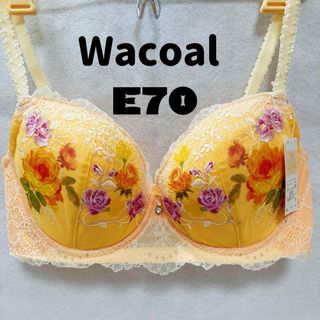 ワコール(Wacoal)のワコール  ブラジャー　単品 レシァージュ E70(ブラ)