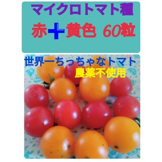 マイクロトマト種　赤➕黄色(野菜)