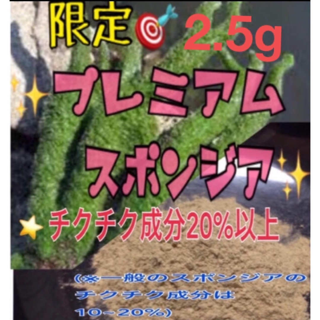 ★剥離あり◎大人気◎ロングセラー★プレミアムスポンジア★2.5g 特価★説明書付 その他のその他(その他)の商品写真