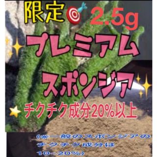 ★剥離あり◎大人気◎ロングセラー★プレミアムスポンジア★2.5g 特価★説明書付(その他)