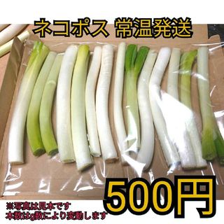 ※お鍋、すき焼き等に※常温ネコポス発送白ネギ500グラム程度(野菜)