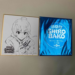 劇場版 SHIROBAKO ぽんかん⑧描き下ろし ミニ色紙 藤堂美沙  新品(その他)