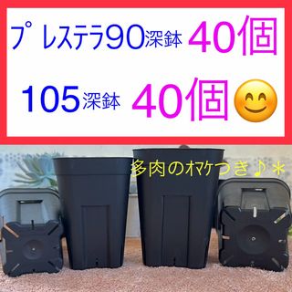 D②⑤プレステラお得ｾｯﾄ★ 【90深鉢40個】【105深鉢40個】(プランター)