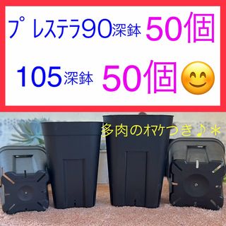 D②⑥  プレステラお得ｾｯﾄ★ 【90深鉢50個】【105深鉢50個】(プランター)