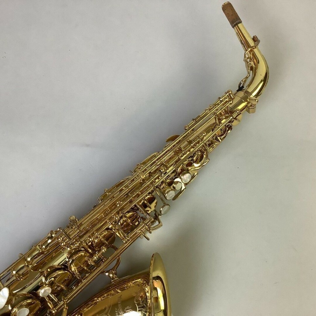 YANAGISAWA（ヤナギサワ）/A-WO10　【中古】【USED】アルトサックス　【成田ボンベルタ店】 楽器の管楽器(サックス)の商品写真