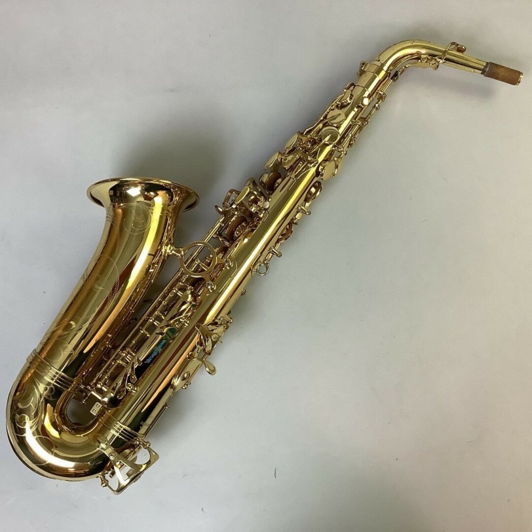 YANAGISAWA（ヤナギサワ）/A-WO10　【中古】【USED】アルトサックス　【成田ボンベルタ店】 楽器の管楽器(サックス)の商品写真