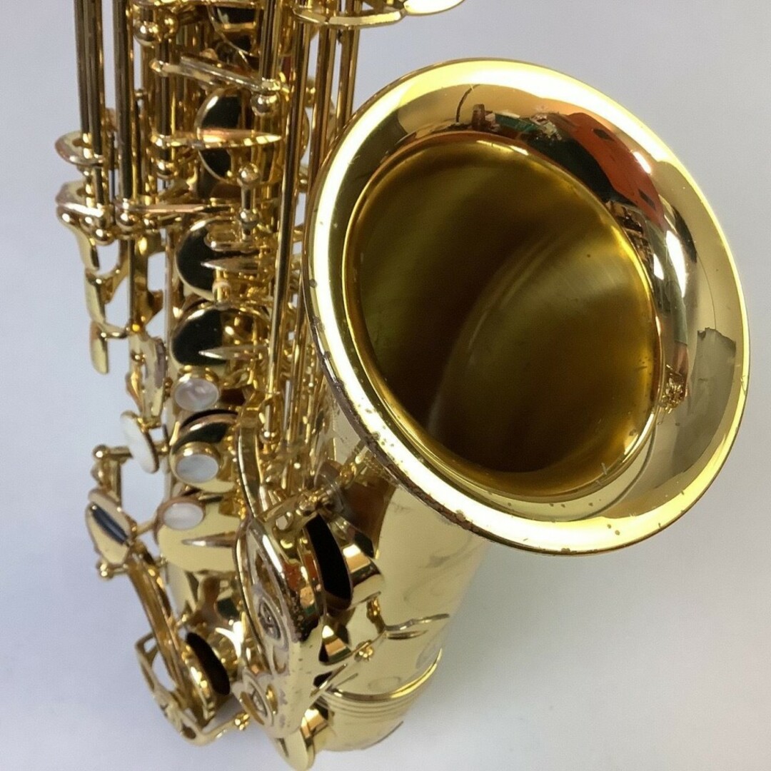 YANAGISAWA（ヤナギサワ）/A-WO10　【中古】【USED】アルトサックス　【成田ボンベルタ店】 楽器の管楽器(サックス)の商品写真