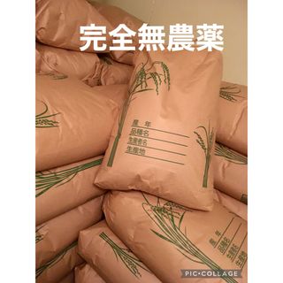 にこまる 2kg 農薬不使用 玄米 国産 農家直送 令和5年産 新米 無添加(米/穀物)