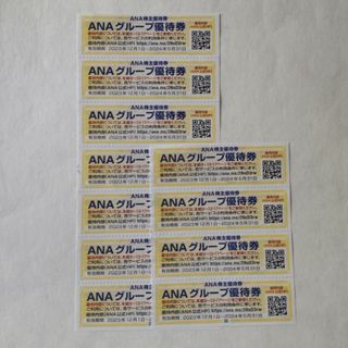 エーエヌエー(ゼンニッポンクウユ)(ANA(全日本空輸))のANA グループ優待券　11枚(その他)