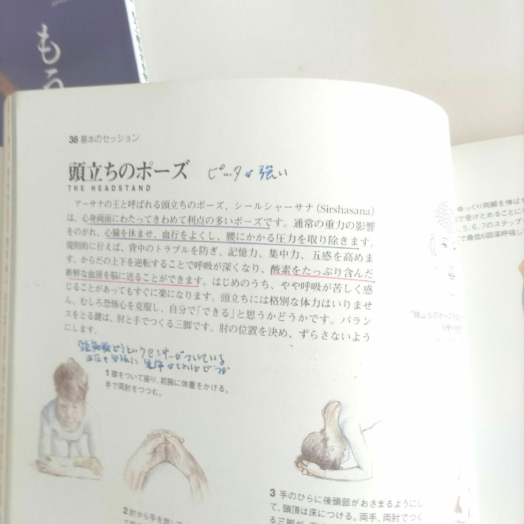 ヨ－ガ エンタメ/ホビーの本(健康/医学)の商品写真