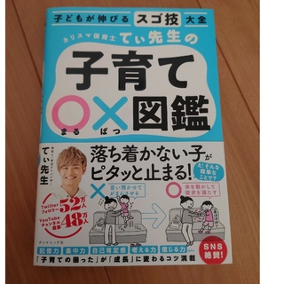 カリスマ保育士てぃ先生の子育て〇×図鑑(結婚/出産/子育て)