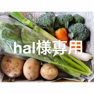 hal様専用(野菜)