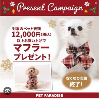 ペットパラダイス(PET PARADISE)のペット用マフラー　ペットパラダイス(ペット服/アクセサリー)