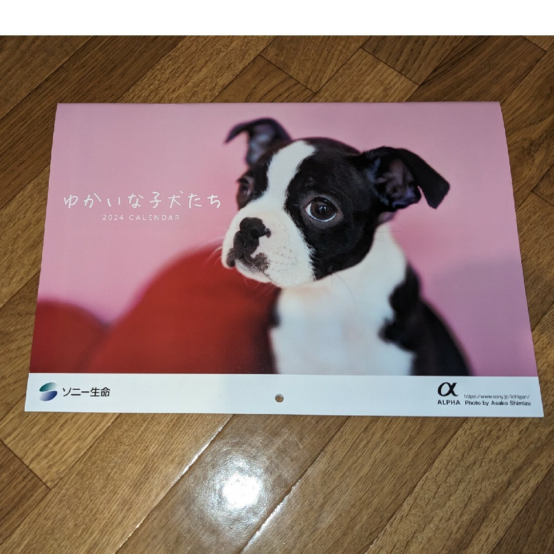 2024年 カレンダー　ソニー生命　ゆかいな子犬たち インテリア/住まい/日用品の文房具(カレンダー/スケジュール)の商品写真