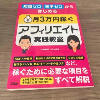 知識ゼロ元手ゼロからはじめる月３万円稼ぐアフィリエイト実践教室(コンピュータ/IT)