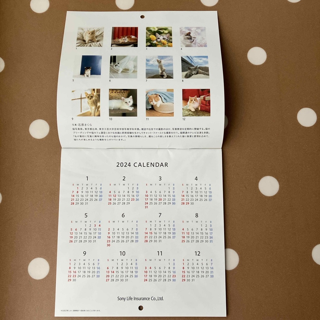 SONY(ソニー)の猫日和カレンダー2024 インテリア/住まい/日用品の文房具(カレンダー/スケジュール)の商品写真