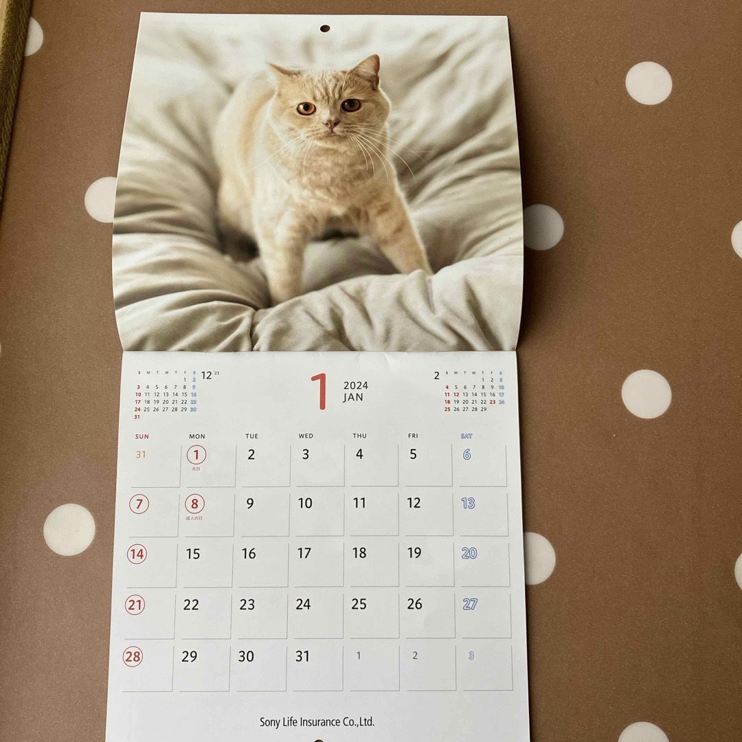 SONY(ソニー)の猫日和カレンダー2024 インテリア/住まい/日用品の文房具(カレンダー/スケジュール)の商品写真