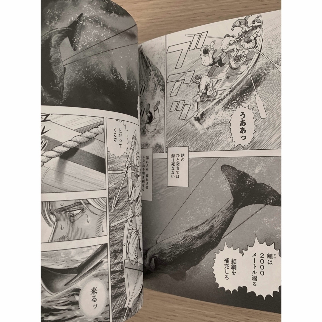 集英社(シュウエイシャ)の美品『エイハブ』 エンタメ/ホビーの漫画(青年漫画)の商品写真