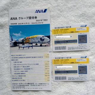 エーエヌエー(ゼンニッポンクウユ)(ANA(全日本空輸))のANA 株主優待券２枚　グループ優待券付き(その他)