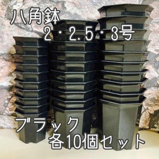 八角鉢黒セット◎各10個◎2号・2.5号・３号 アガベ 多肉植物(プランター)