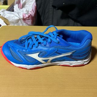 ミズノ(MIZUNO)の卓球　ミズノ　ウエーブメダル6限定カラー　25.５cm(卓球)