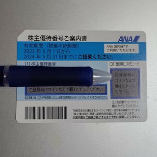 ANA株主優待券 1枚2024年5月31日期限(航空券)