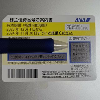 ANA株主優待券 1枚2024年11月30日期限(航空券)