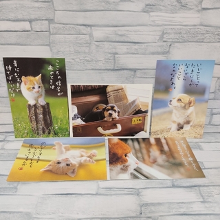 ホールマーク(Hallmark)のポストカード はがき 犬 猫 Hallmarkなど 5枚セット(その他)