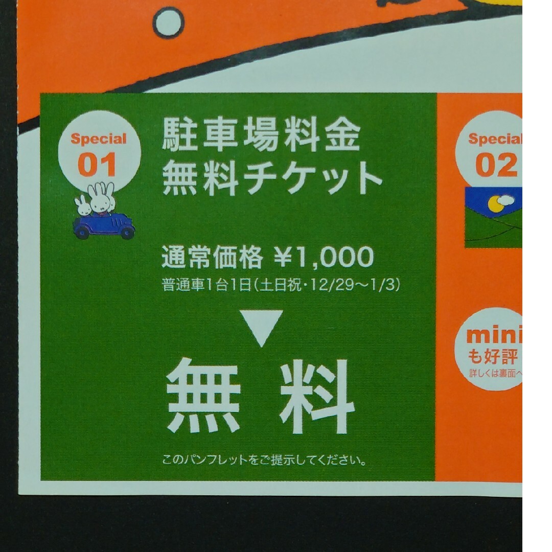 かたしな高原スキー場　駐車場無料券 チケットの施設利用券(スキー場)の商品写真