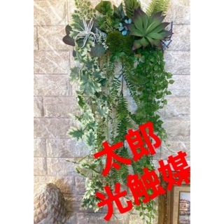 光触媒　人工観葉植物　ウォールグリーン　フェイクグリーン　壁掛け20433(壁掛けミラー)
