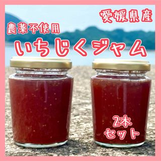 愛媛県産 いちじくジャム 2本セット ②果物 ジャム 国産(缶詰/瓶詰)