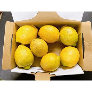 瀬戸内レモン　無農薬A 国産(フルーツ)