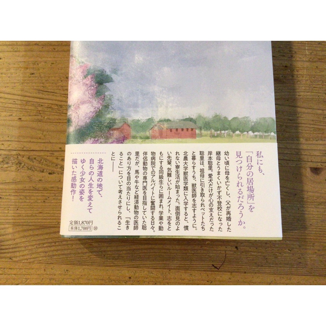 リラの花咲くけものみち エンタメ/ホビーの本(文学/小説)の商品写真