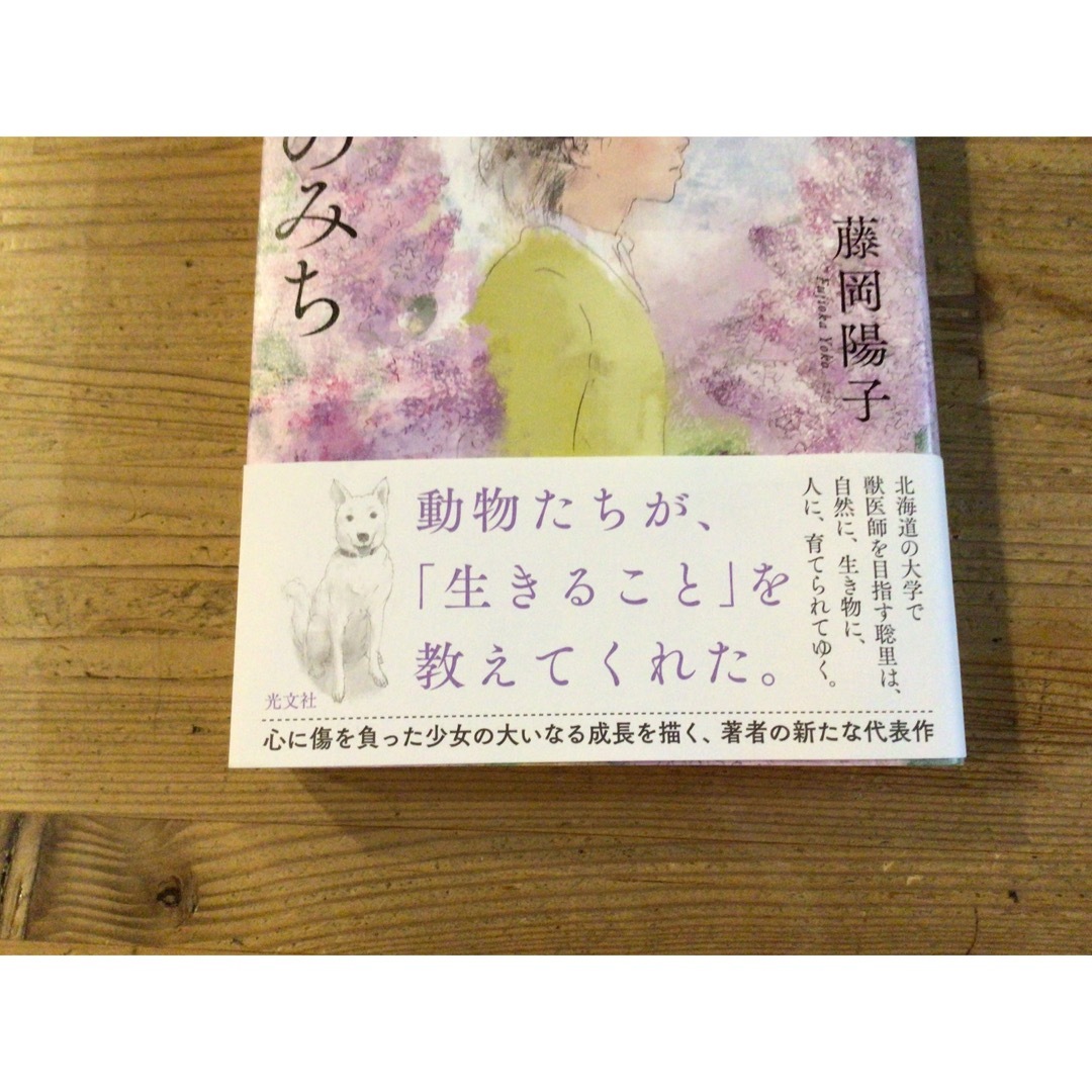 リラの花咲くけものみち エンタメ/ホビーの本(文学/小説)の商品写真