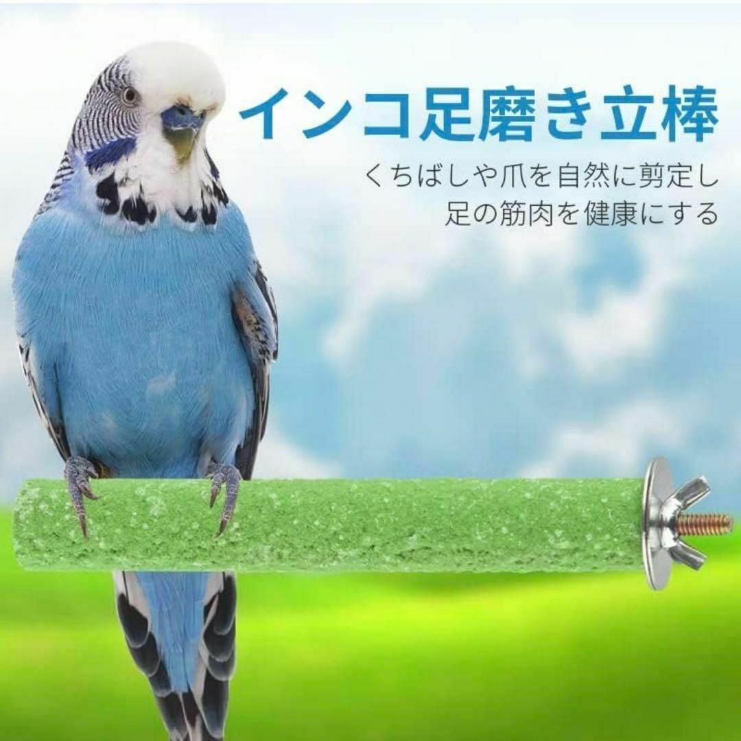 サンドパーチ 止まり木　つめ研ぎ 鳥 インコ　オウム モモンガ リス その他のペット用品(鳥)の商品写真