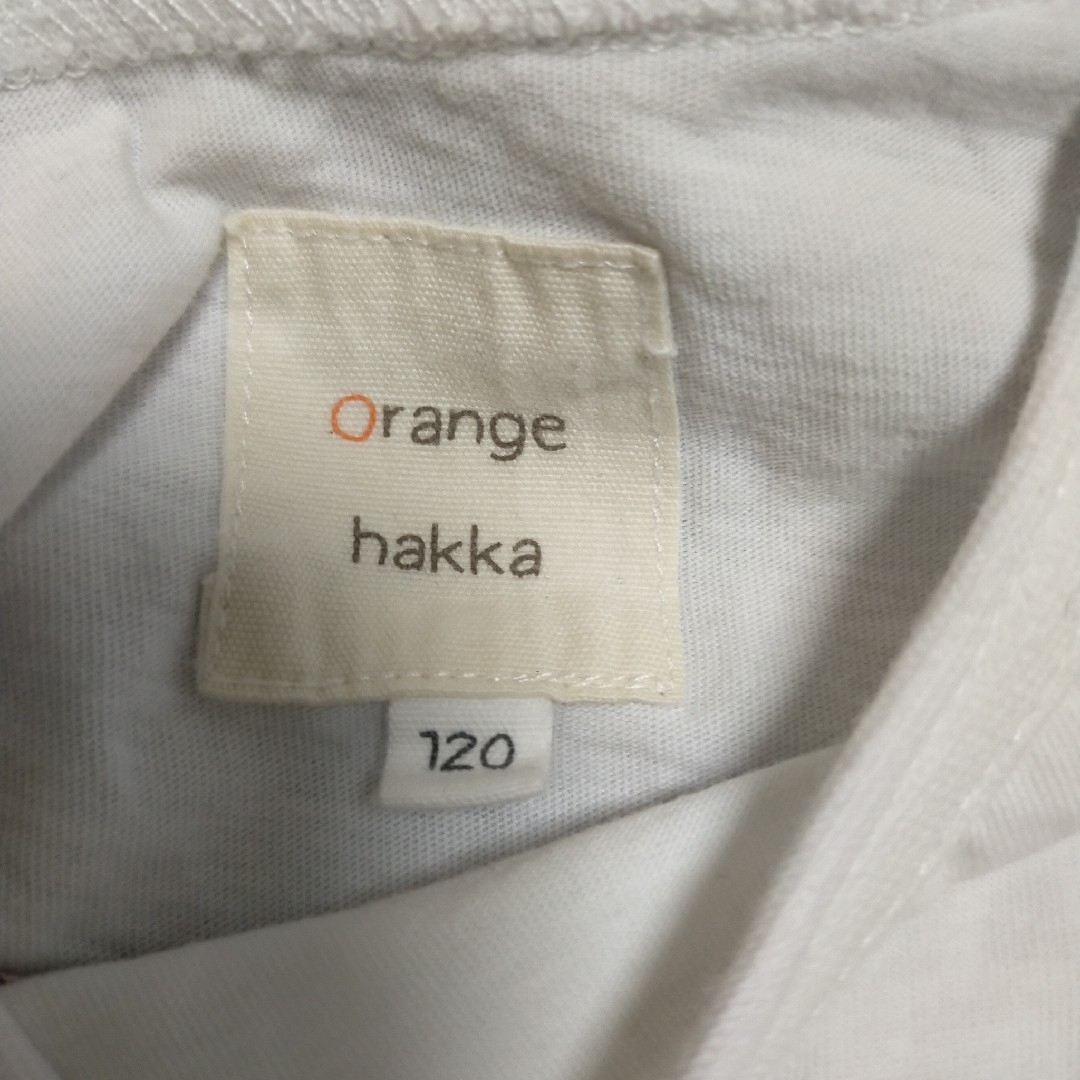 hakka kids(ハッカキッズ)のオレンジハッカ ハッカキッズ  120cm カットソー Tシャツ キッズ/ベビー/マタニティのキッズ服女の子用(90cm~)(Tシャツ/カットソー)の商品写真