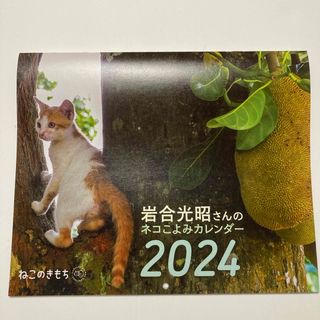 ベネッセ(Benesse)のねこのきもち 2024 カレンダー(カレンダー/スケジュール)