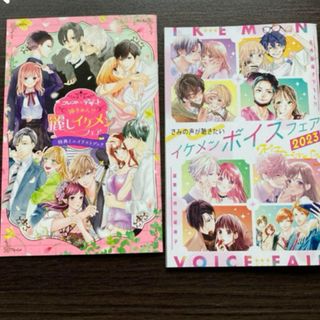 購入特典　ミニイラストブック　超豪華特別版冊子　イケメンボイスフェア　非売品(少女漫画)