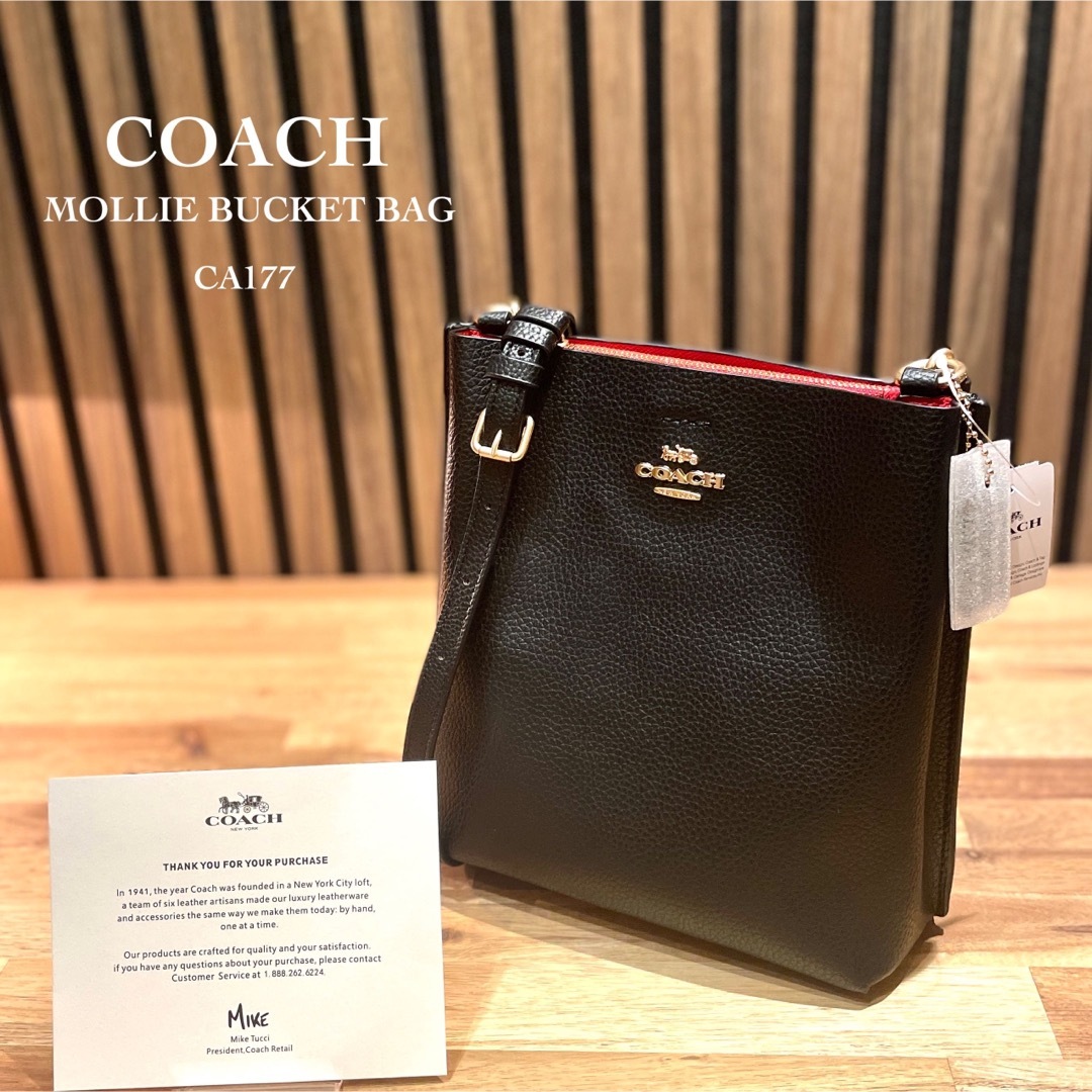 最も優遇 【新品未使用】COACH モリーバケット コーチ バケットバッグ