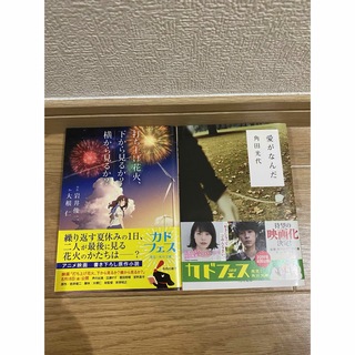 愛がなんだ、打ち上げ花火、下から見るか？横から見るか？(文学/小説)