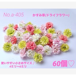 確認用ですNo.a-405かすみ草(ドライフラワー)小さめ4ミリ～6ミリ♪60個(ドライフラワー)