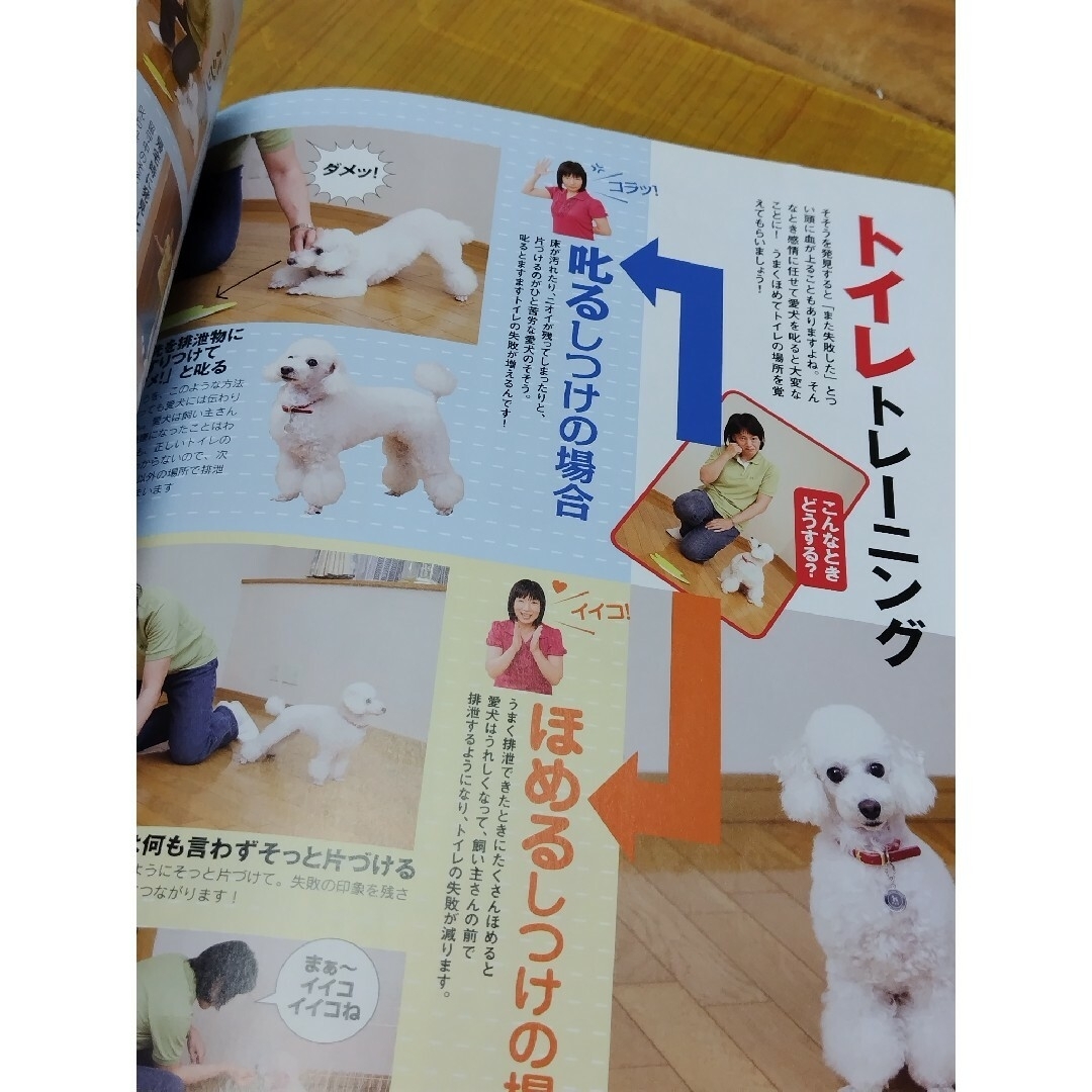 いぬのきもち2008年9月vol.76　しつけ　トレーニング その他のペット用品(犬)の商品写真