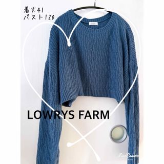 ローリーズファーム(LOWRYS FARM)のLOWRYS FARM☆ショート丈ケーブルニット　クロプト丈　ブルー　フリー(ニット/セーター)