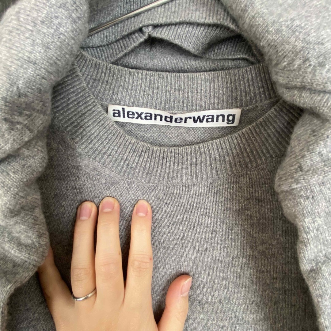 Alexander Wang(アレキサンダーワン)のalexanderwang ニット　xs レディースのトップス(ニット/セーター)の商品写真