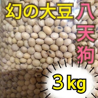 自然栽培 幻の大豆 『八天狗』3kg 熊本県産(野菜)