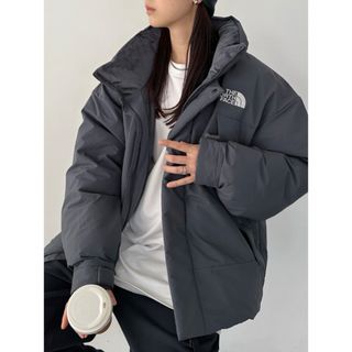 ザノースフェイス(THE NORTH FACE)の国内未発売 THE NORTH FACEネルトンオンボールジャケット(ダウンジャケット)